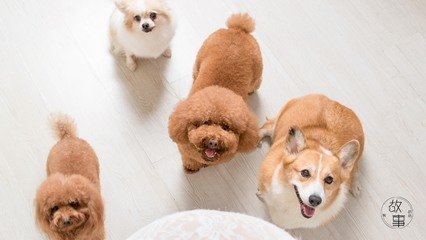 metamask钱包如何取出来