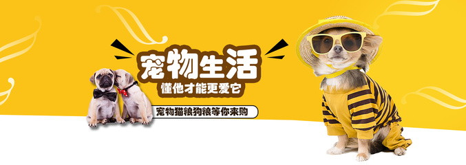 ADA钱包下载