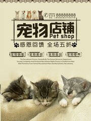im钱包官方正版